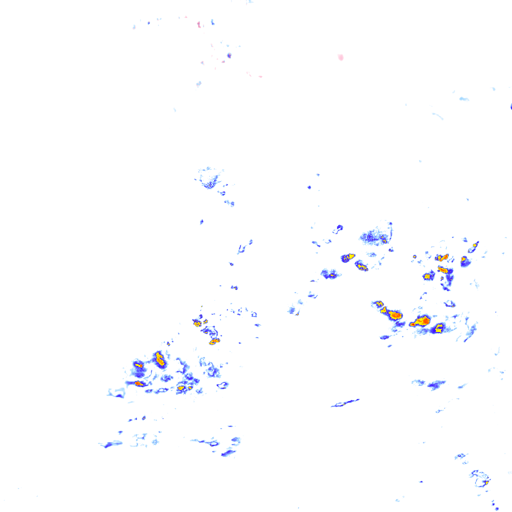 rainLayer