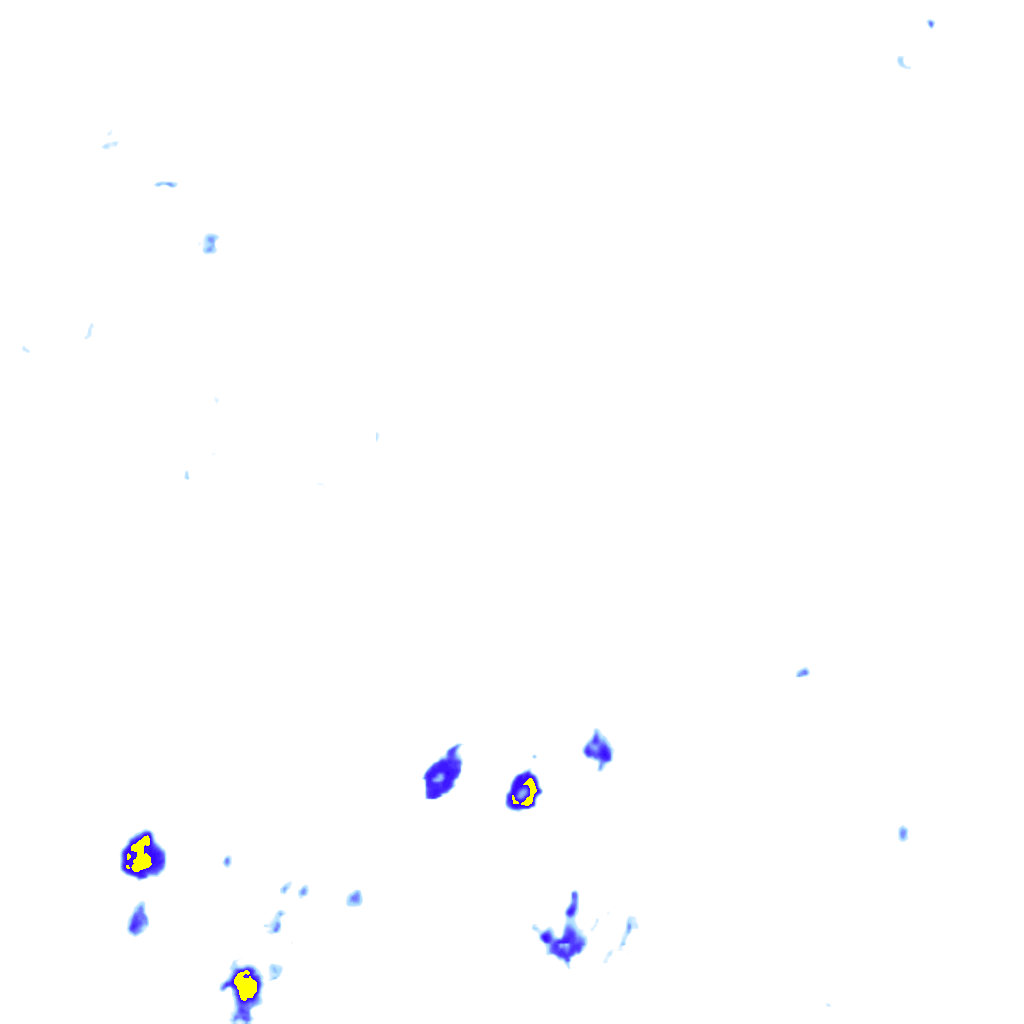 rainLayer