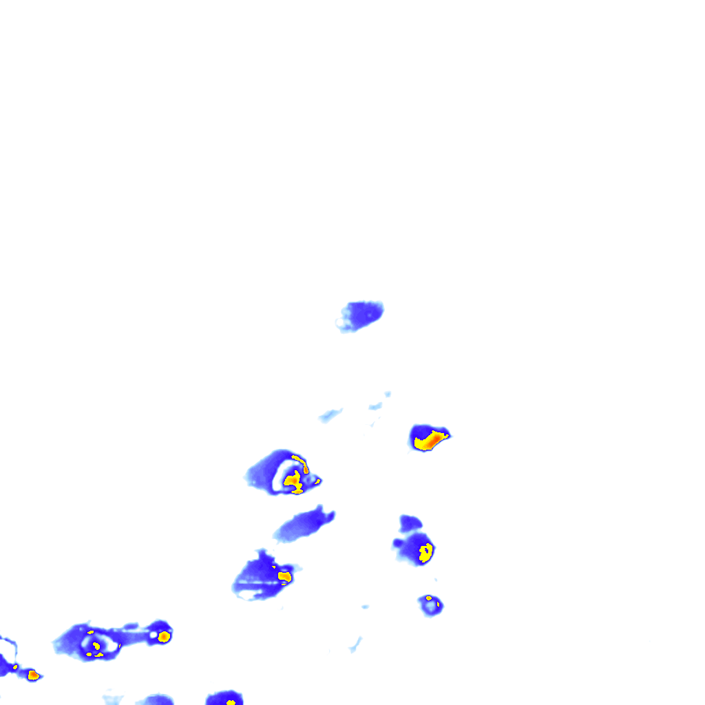 rainLayer
