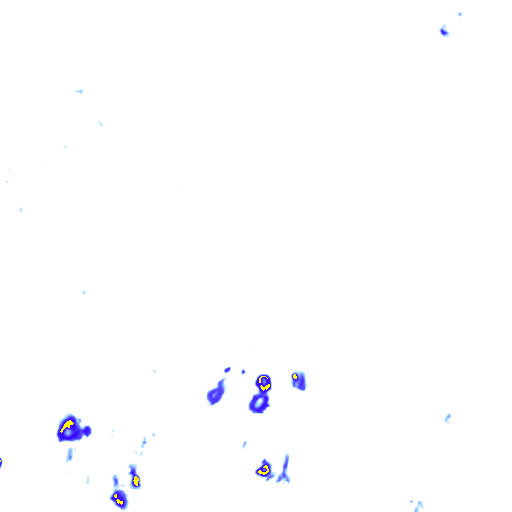 rainLayer