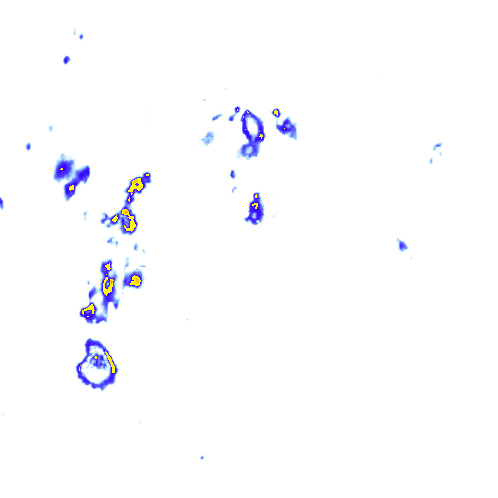rainLayer