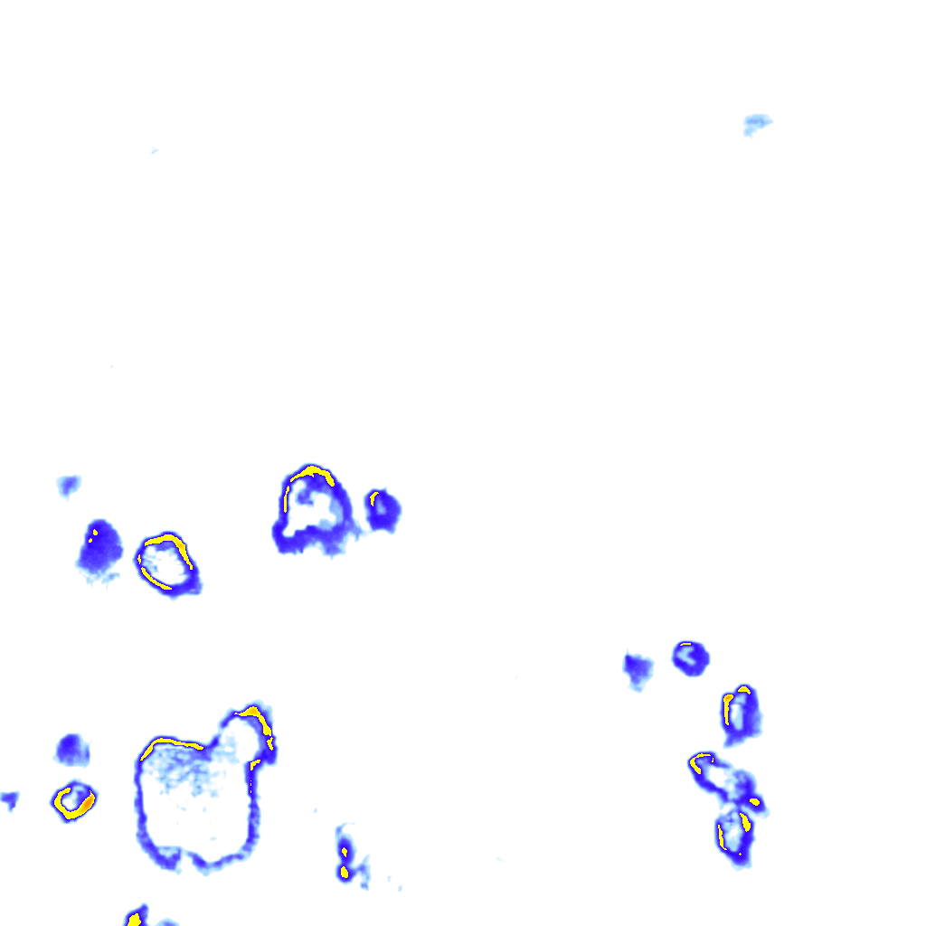 rainLayer
