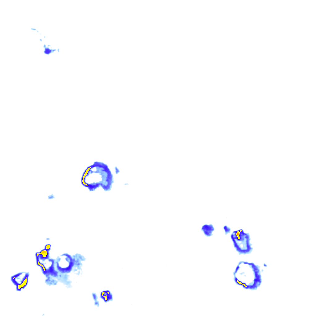 Image Layer