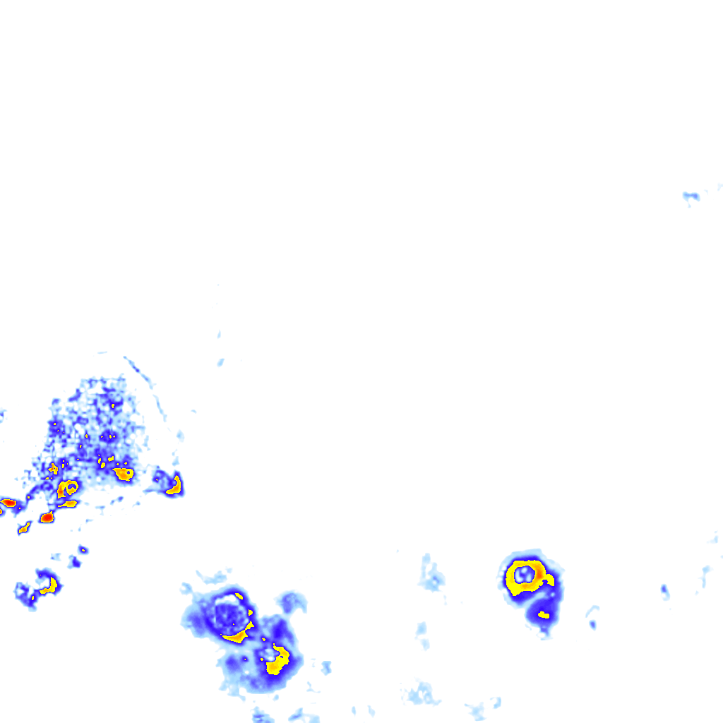 Image Layer