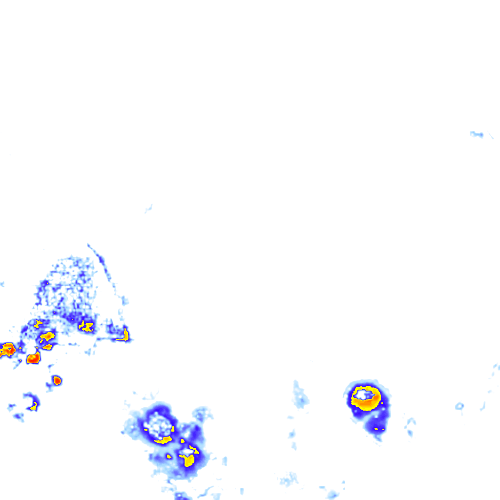 rainLayer