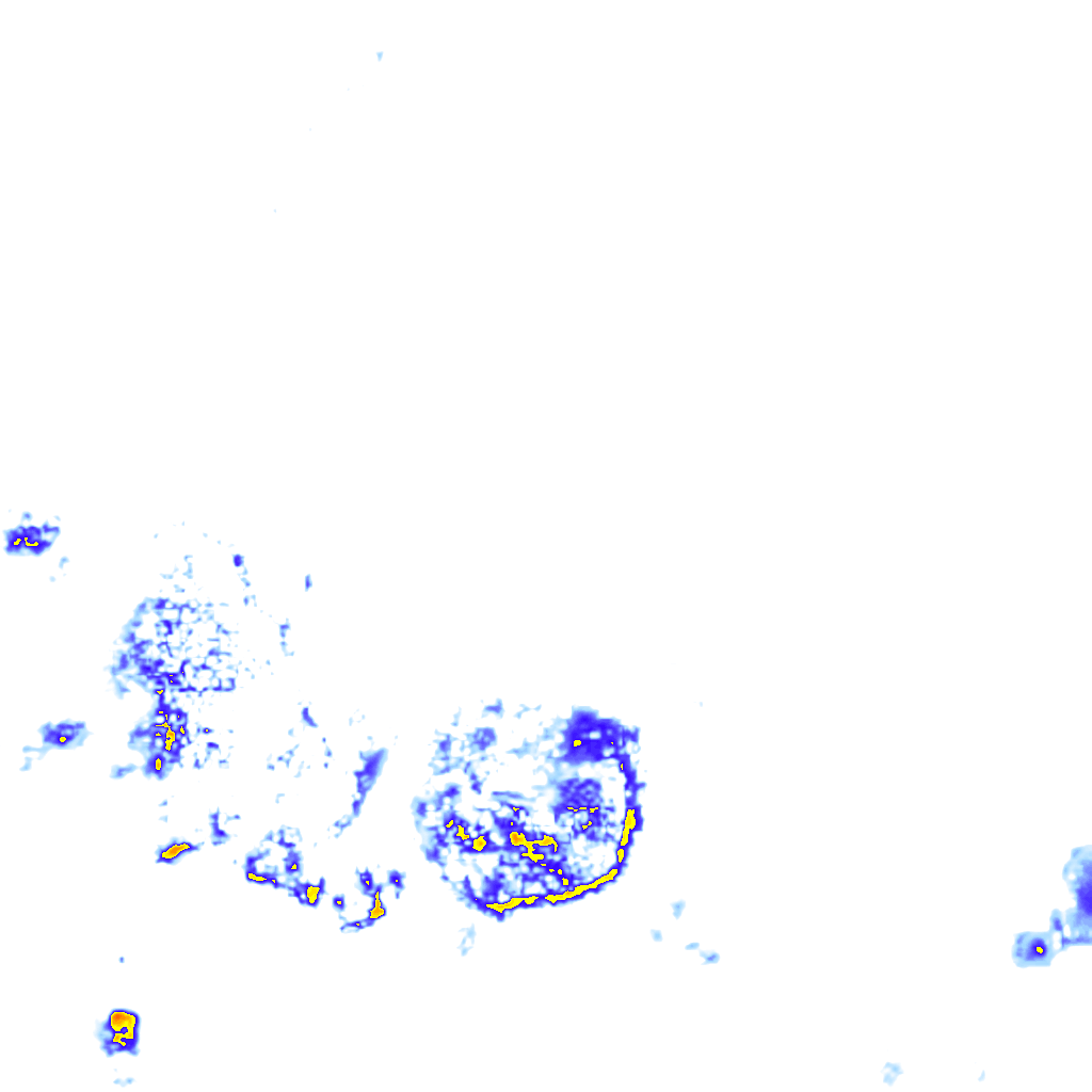 Image Layer