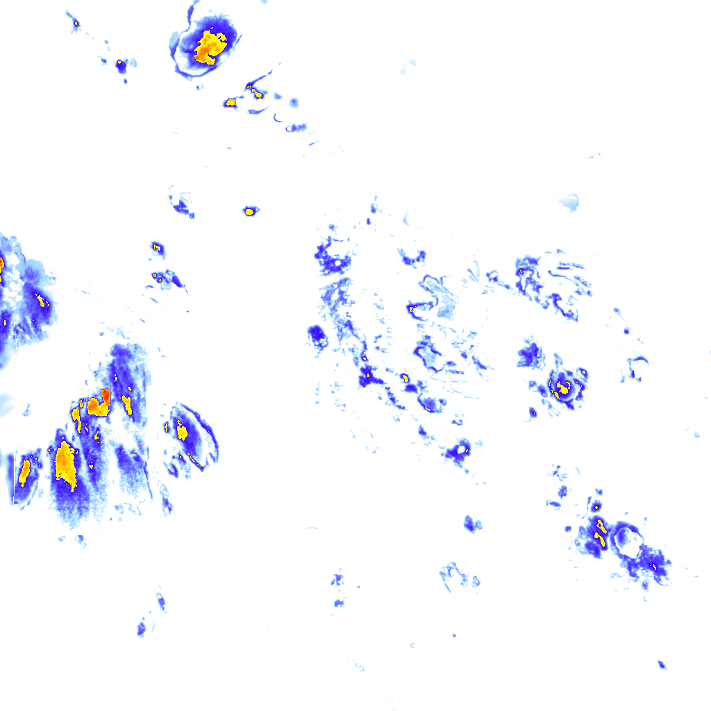 rainLayer