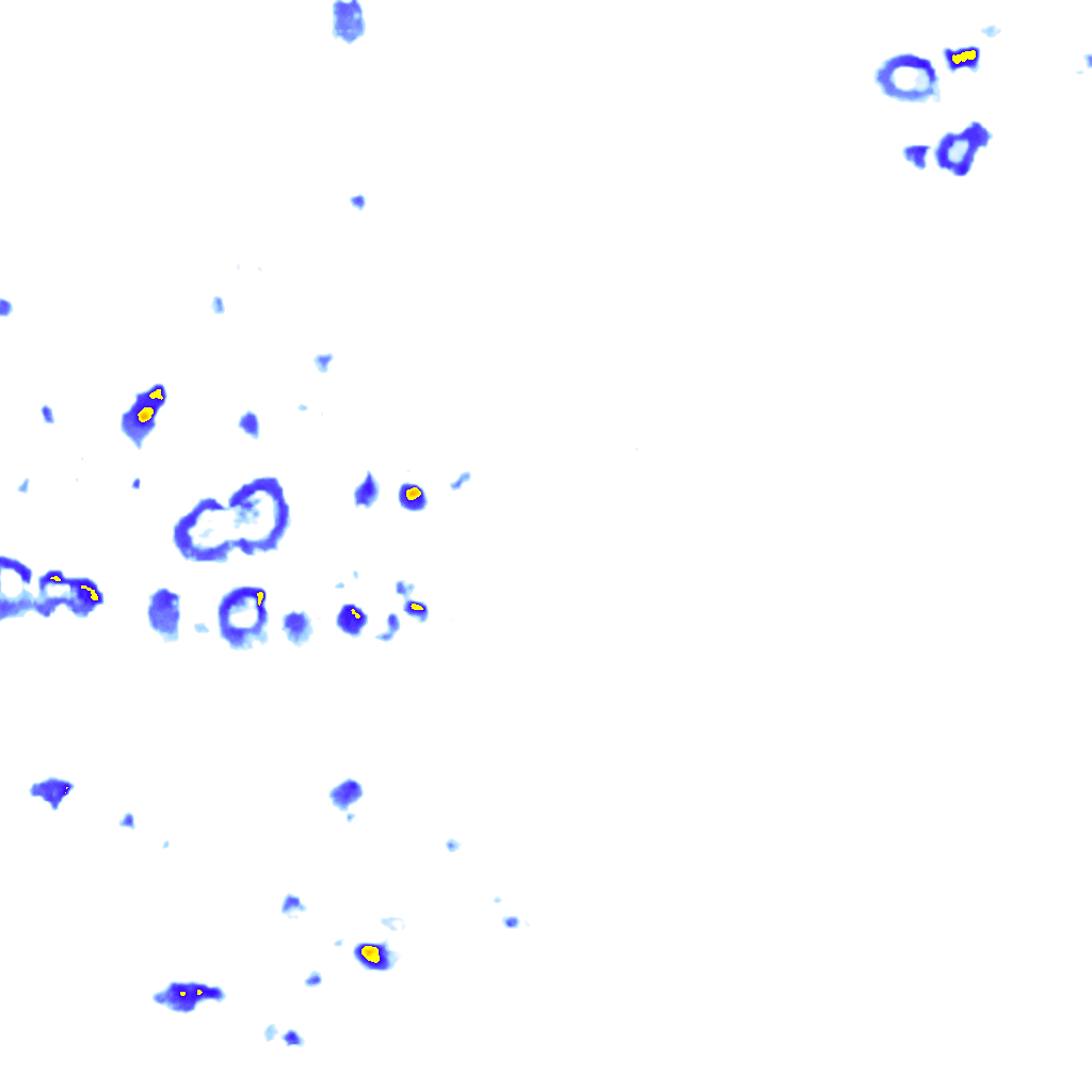 Image Layer