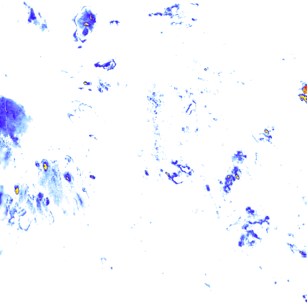 rainLayer