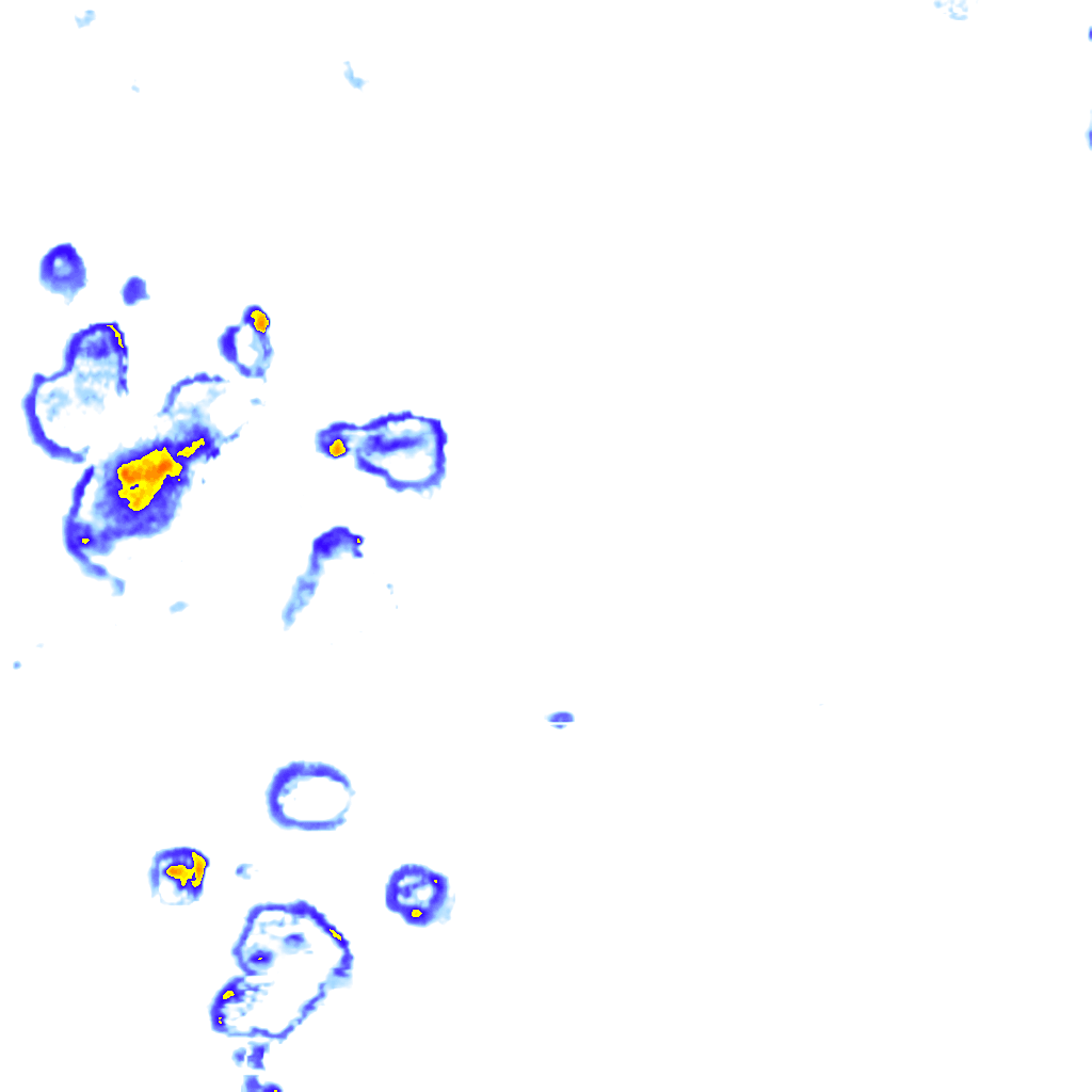 Image Layer
