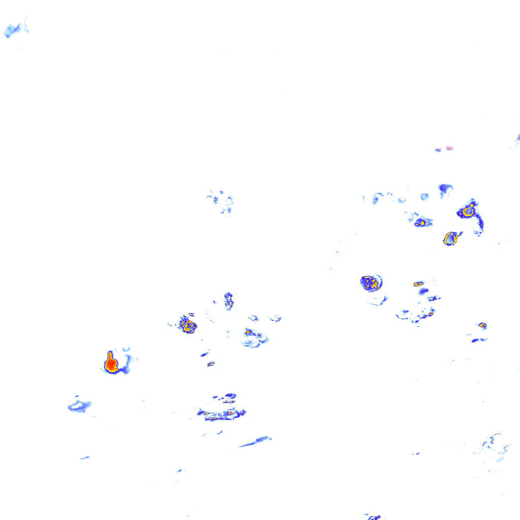 rainLayer