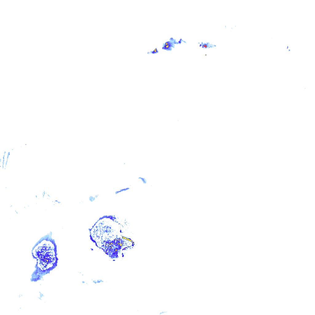 rainLayer