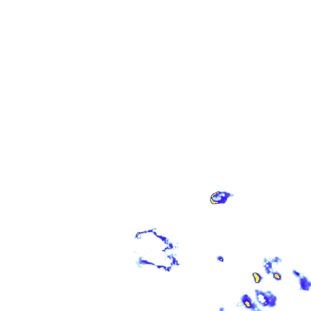 rainLayer
