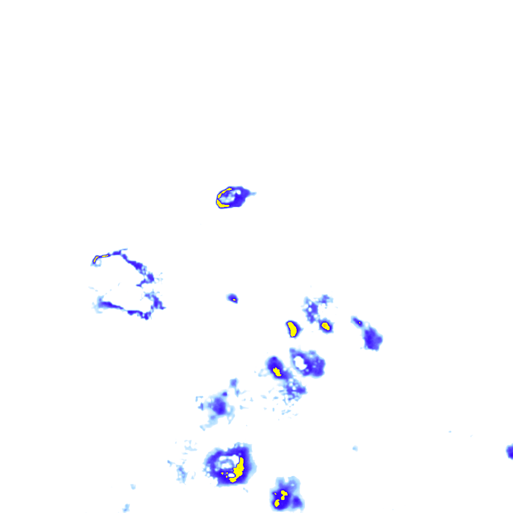 rainLayer