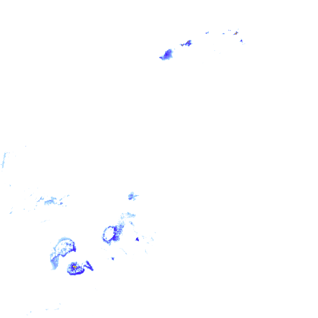 rainLayer