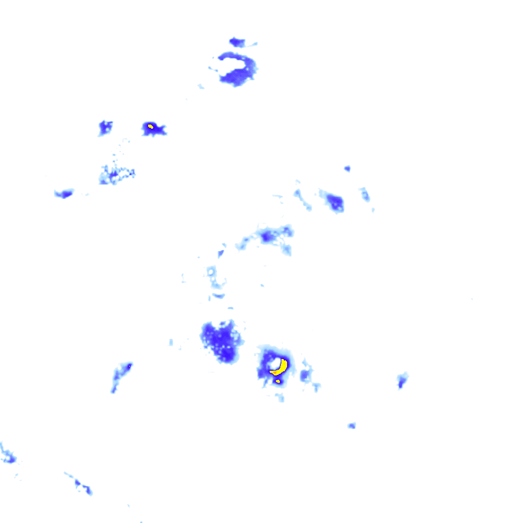 Image Layer