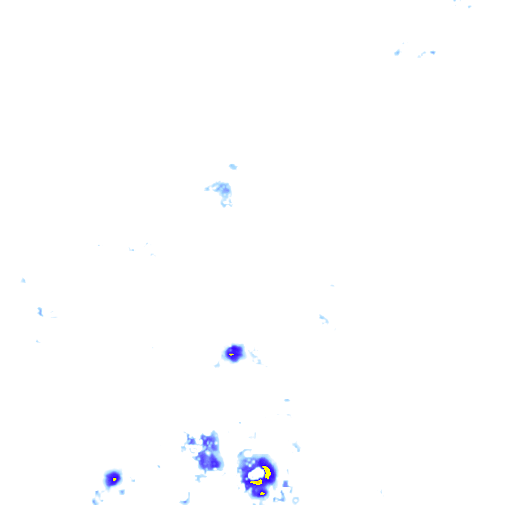 rainLayer