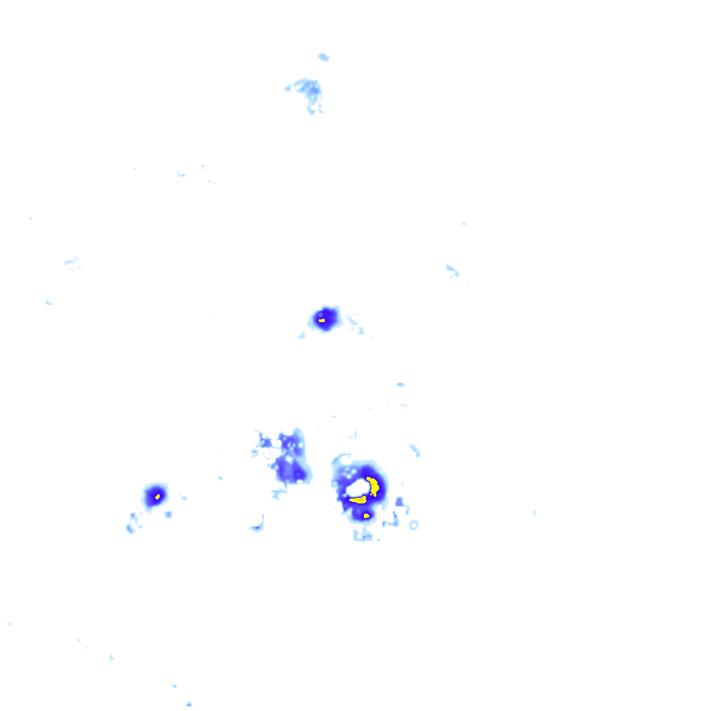 Image Layer