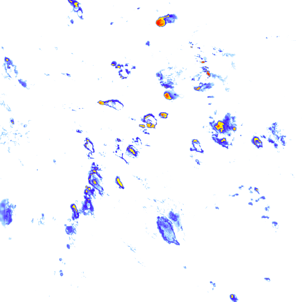 rainLayer
