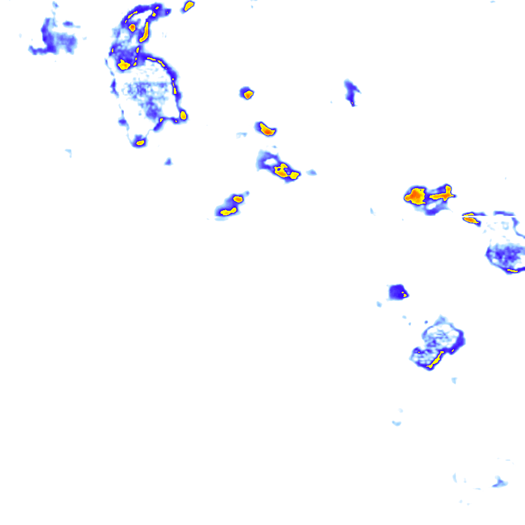 rainLayer