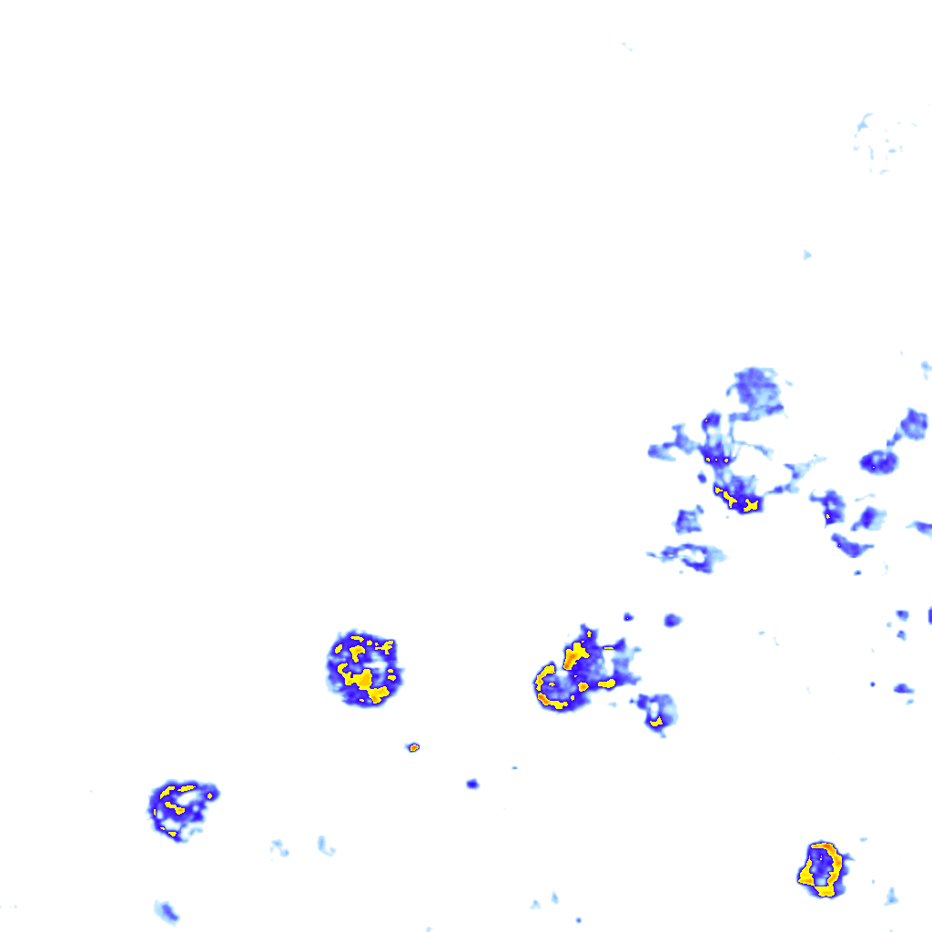 rainLayer