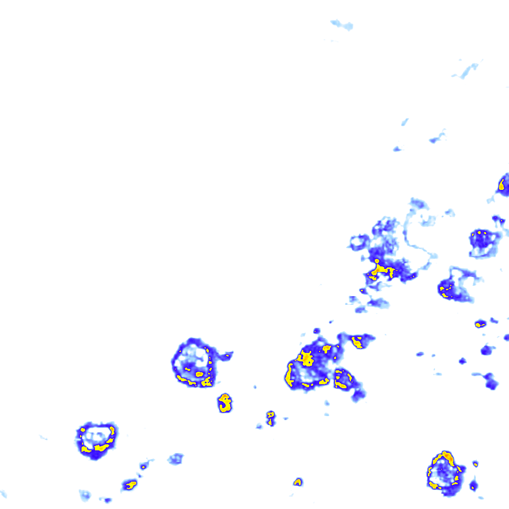 rainLayer