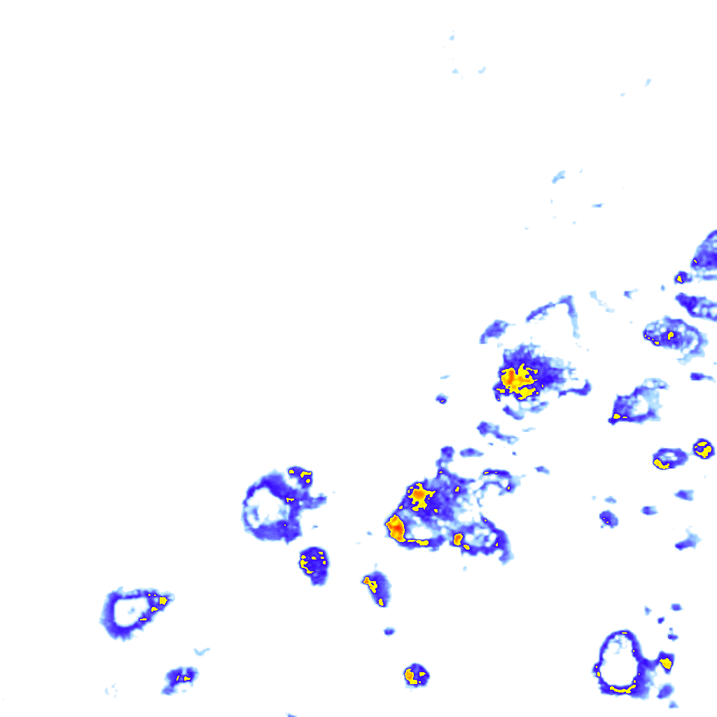 Image Layer