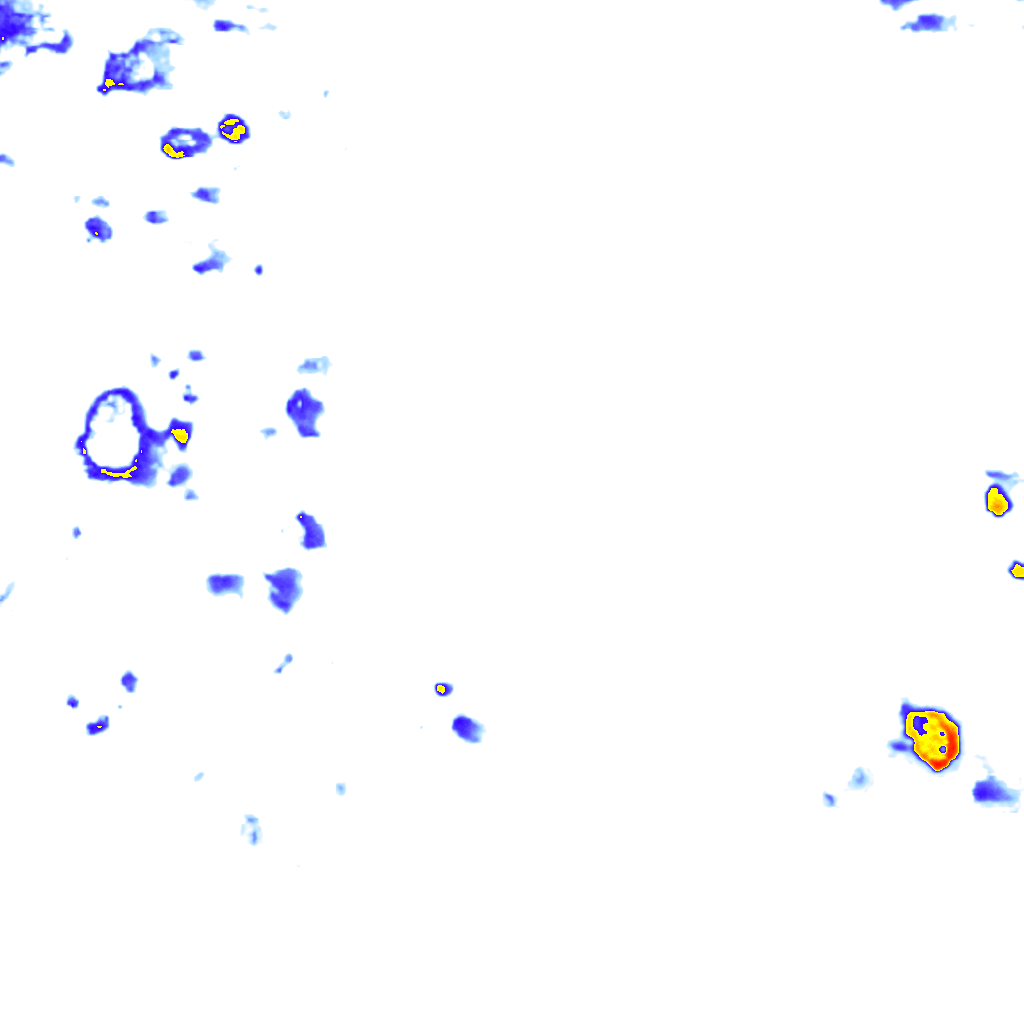 rainLayer