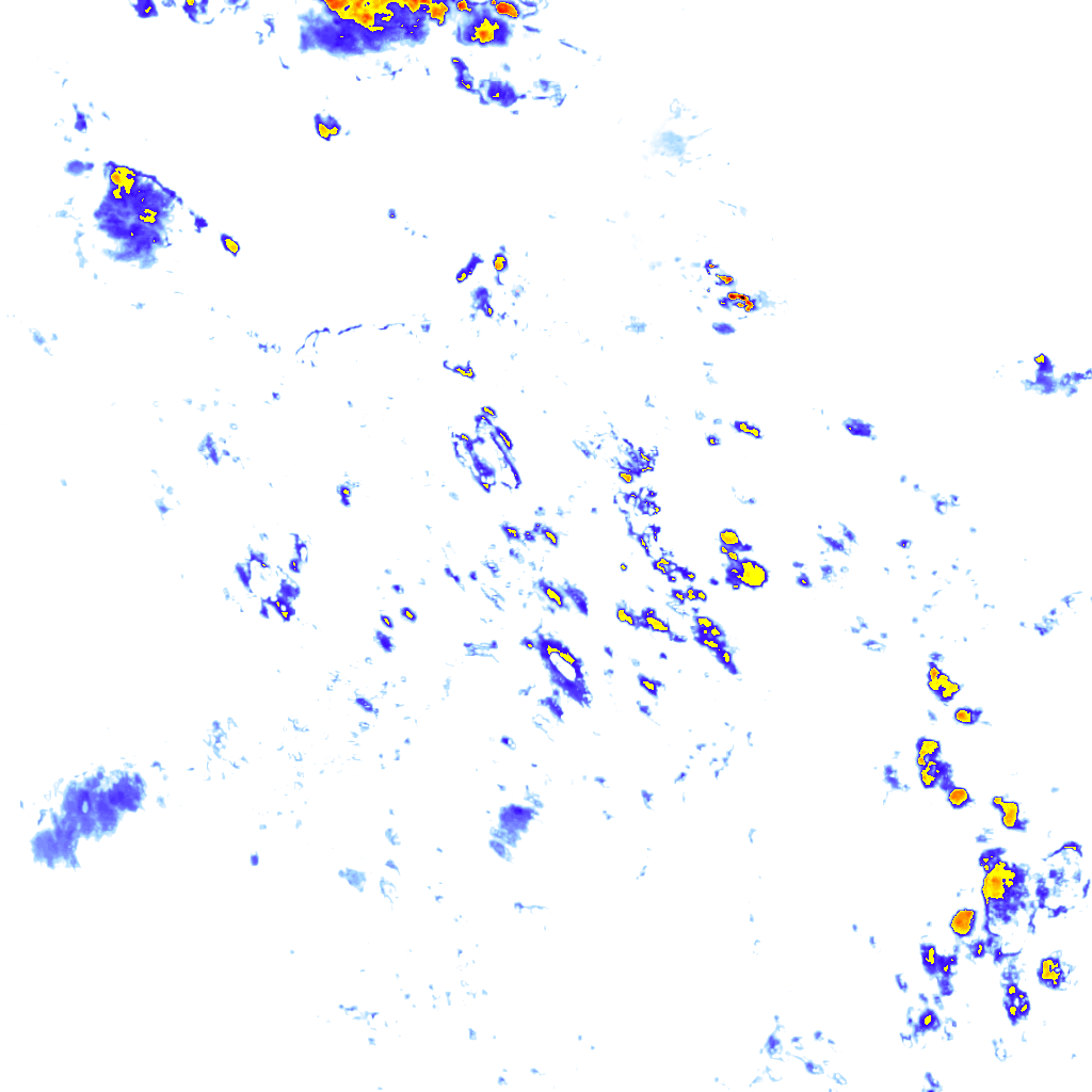 rainLayer