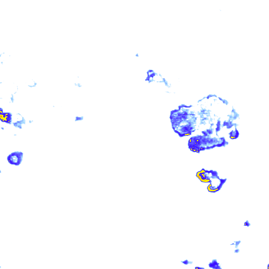 Image Layer