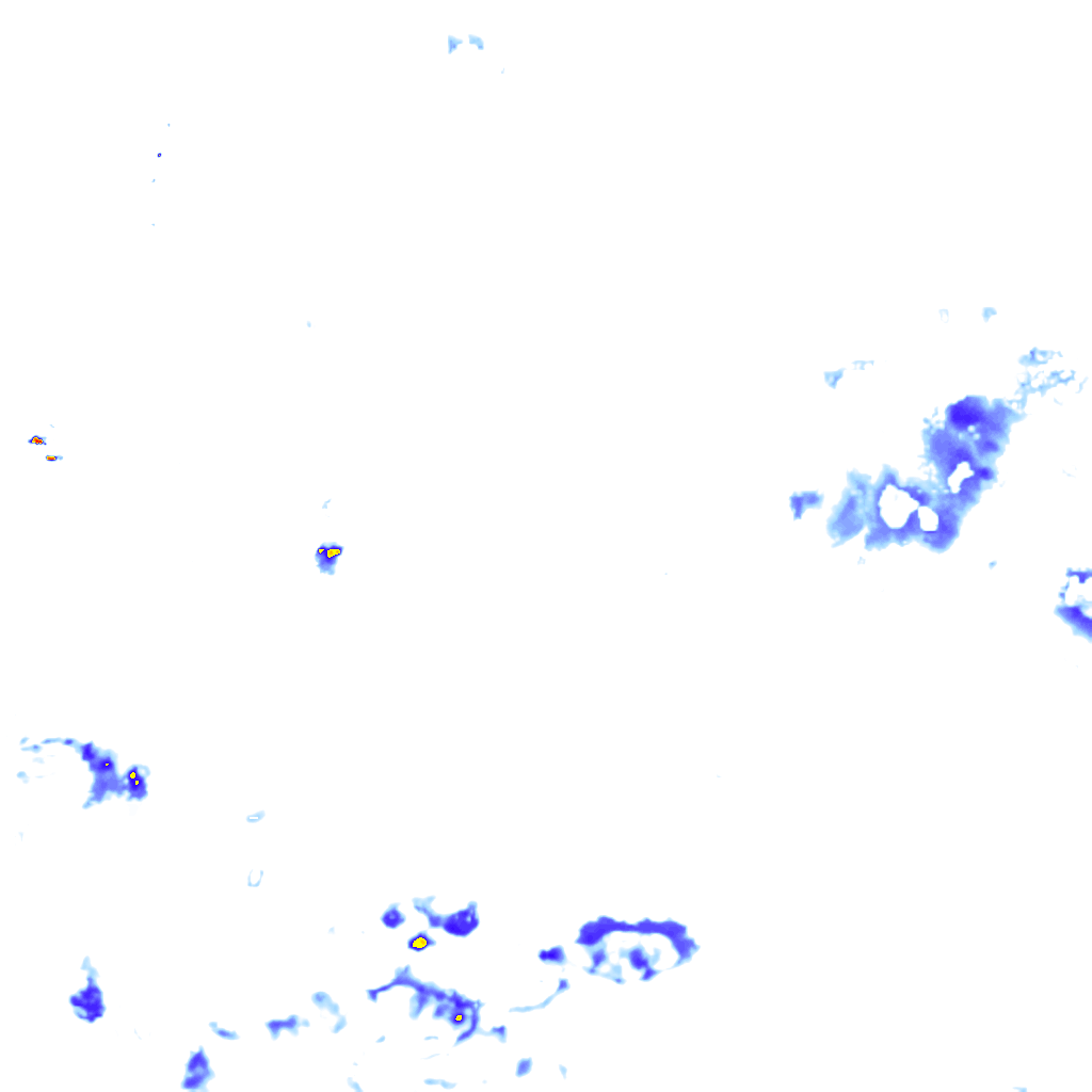 rainLayer