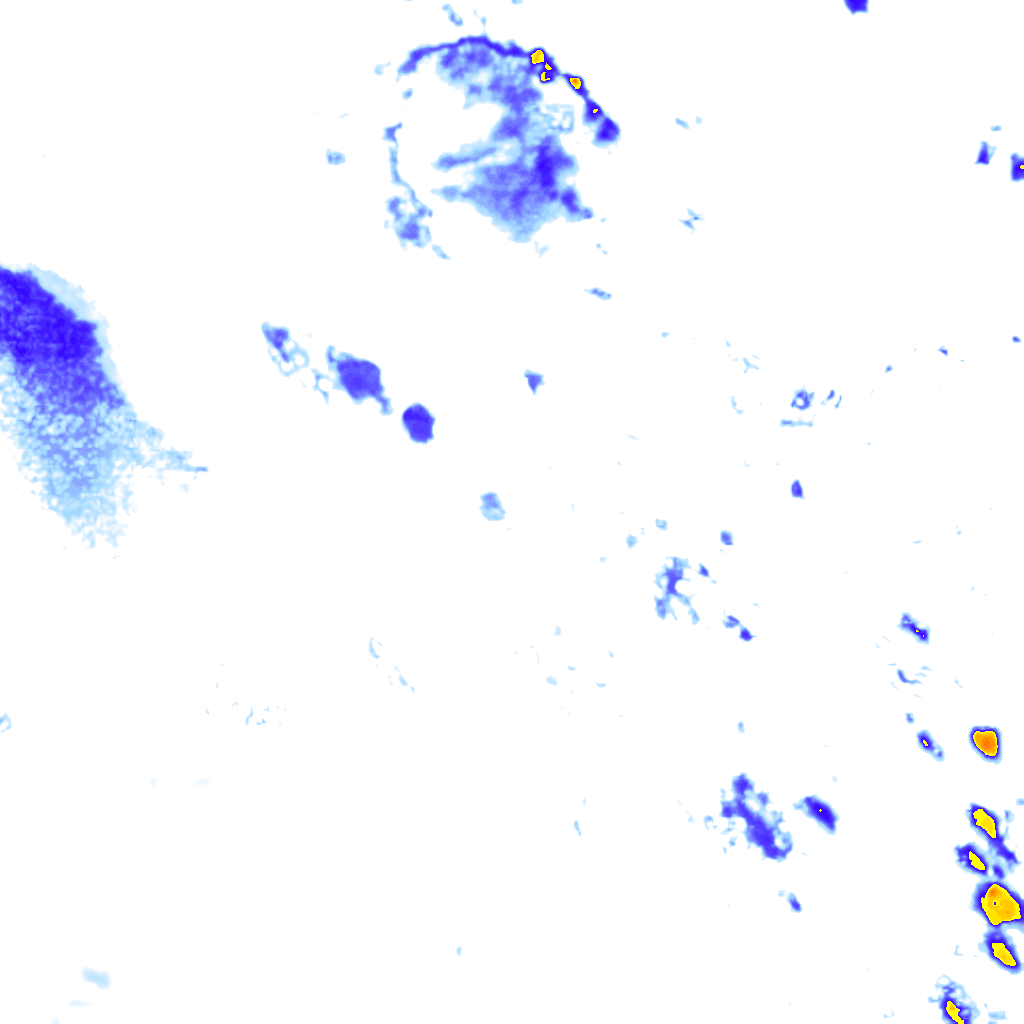 rainLayer