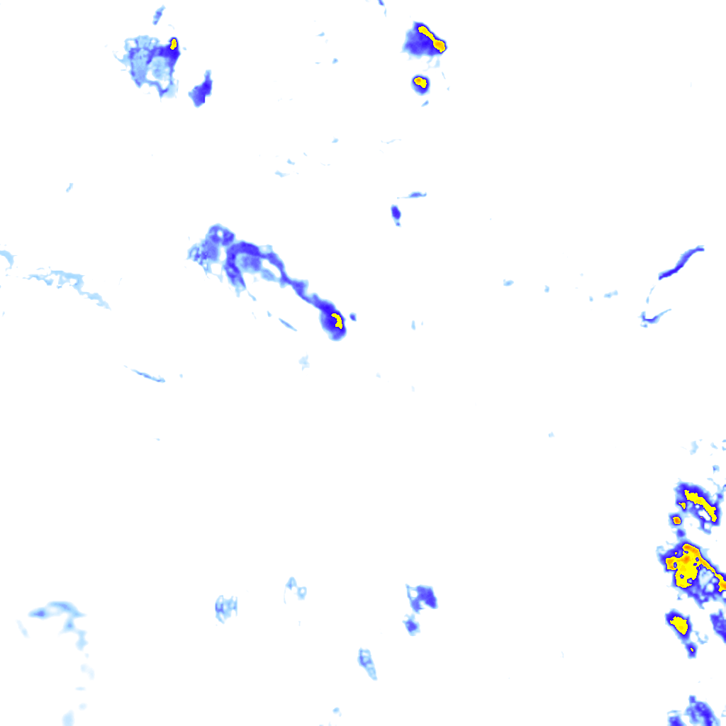 rainLayer