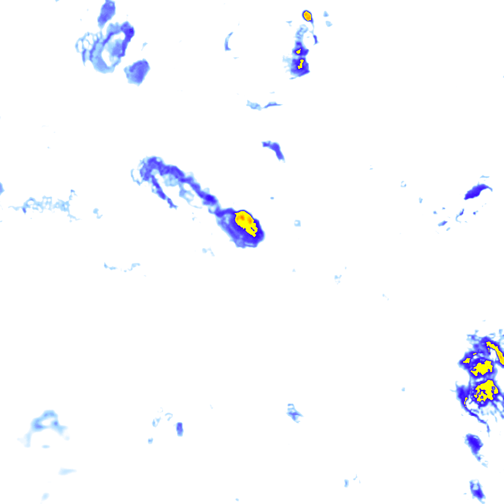 rainLayer