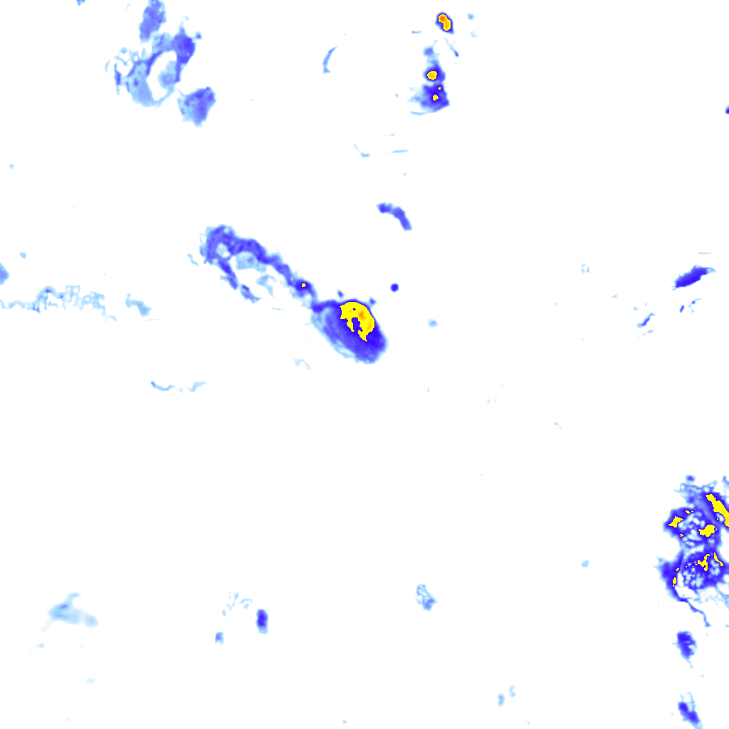 rainLayer