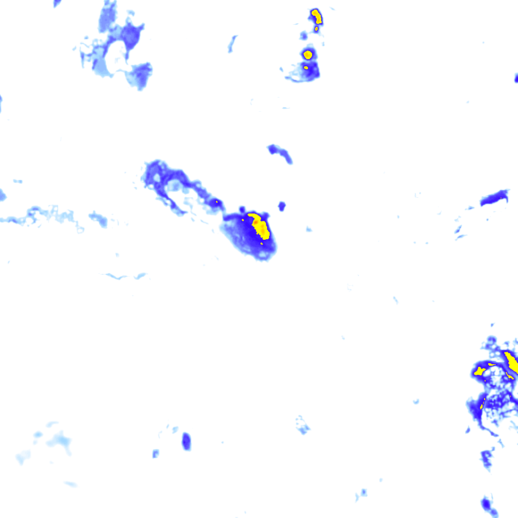 rainLayer