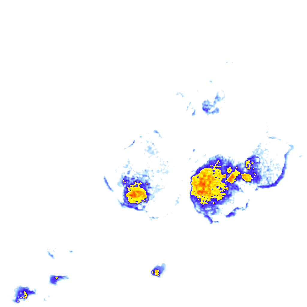 rainLayer