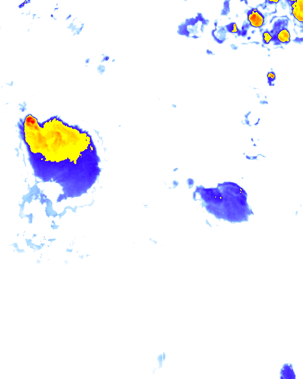 rainLayer