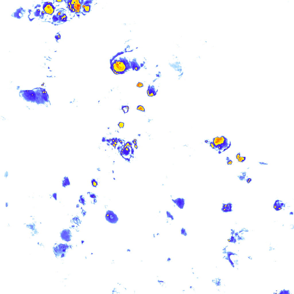 Image Layer