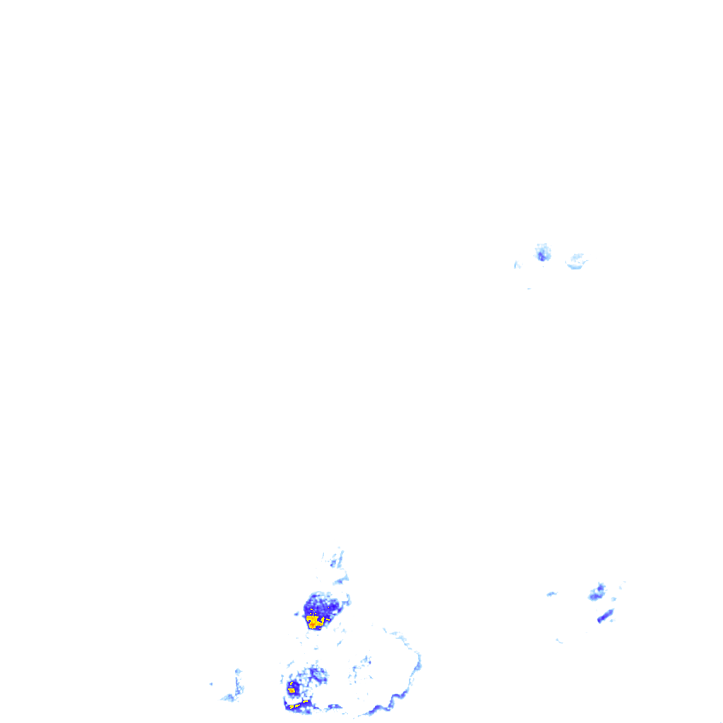 Image Layer