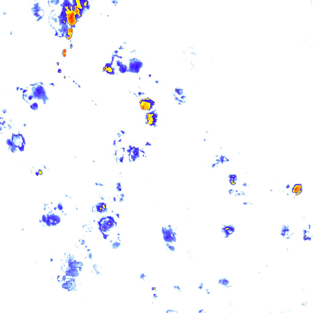 rainLayer