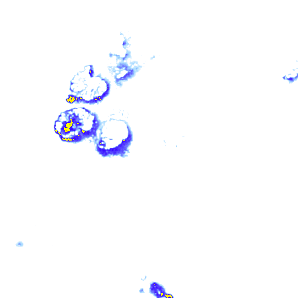 Image Layer
