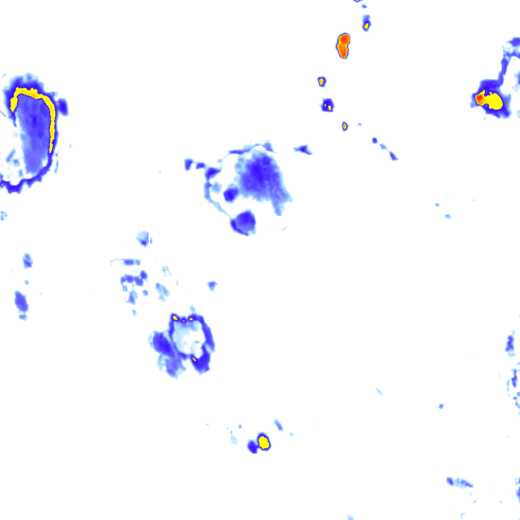 Image Layer