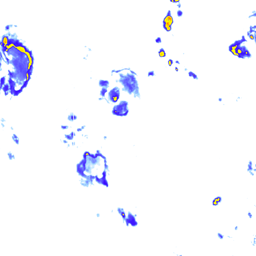 Image Layer