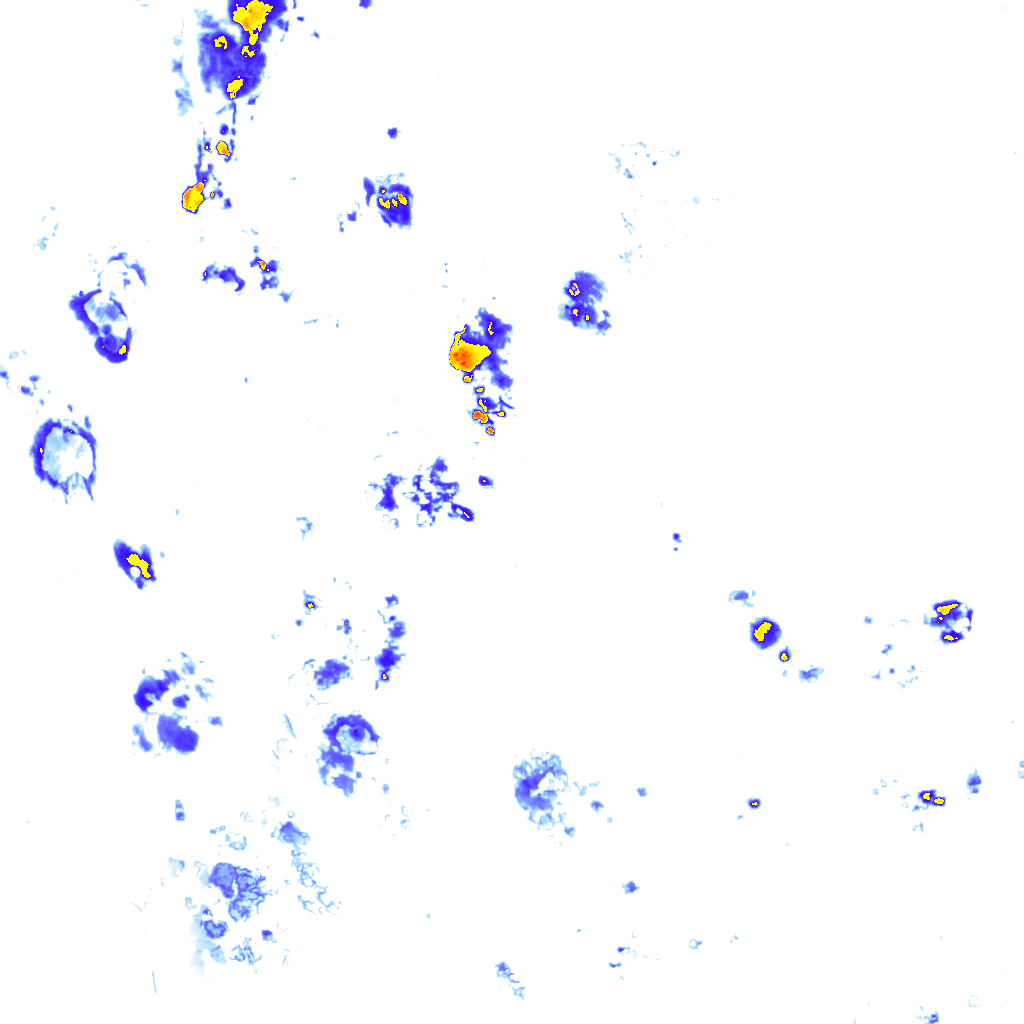 Image Layer