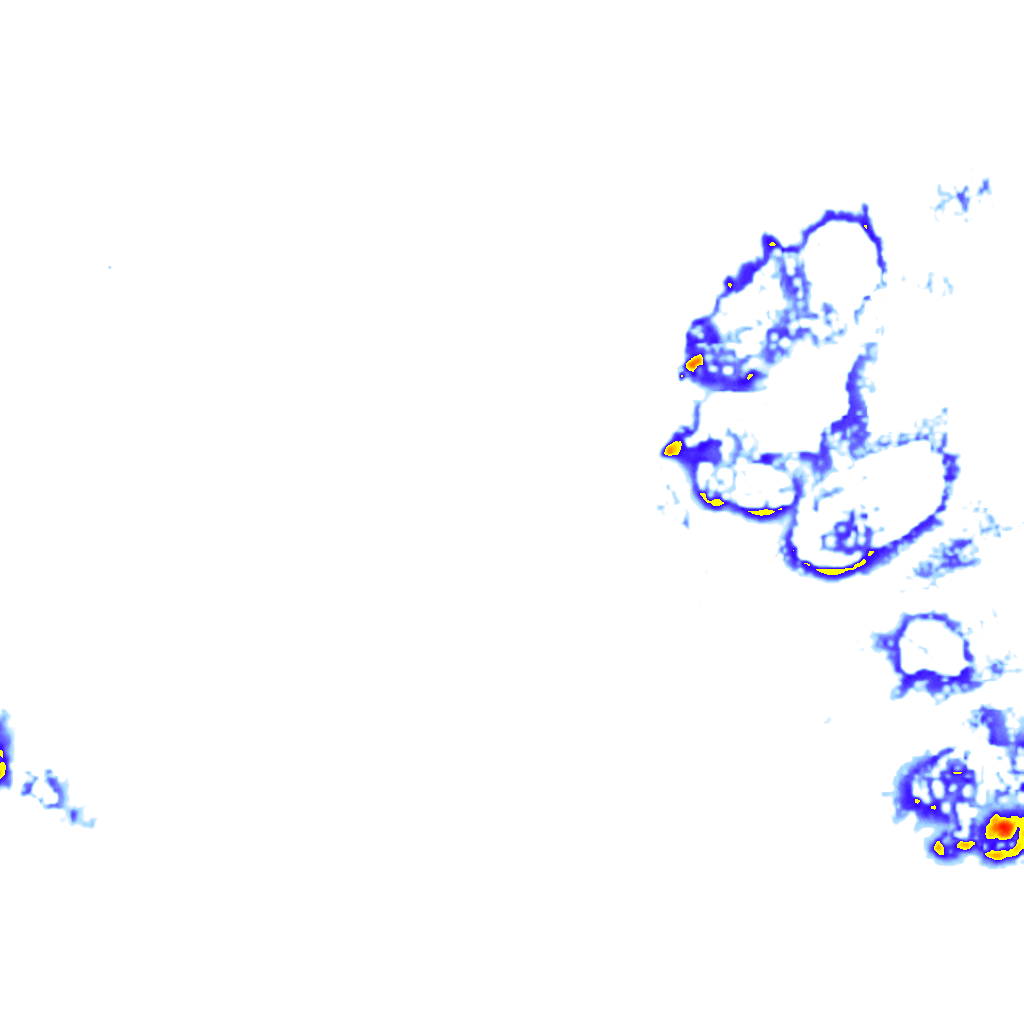 rainLayer