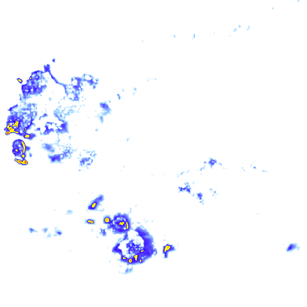 Image Layer