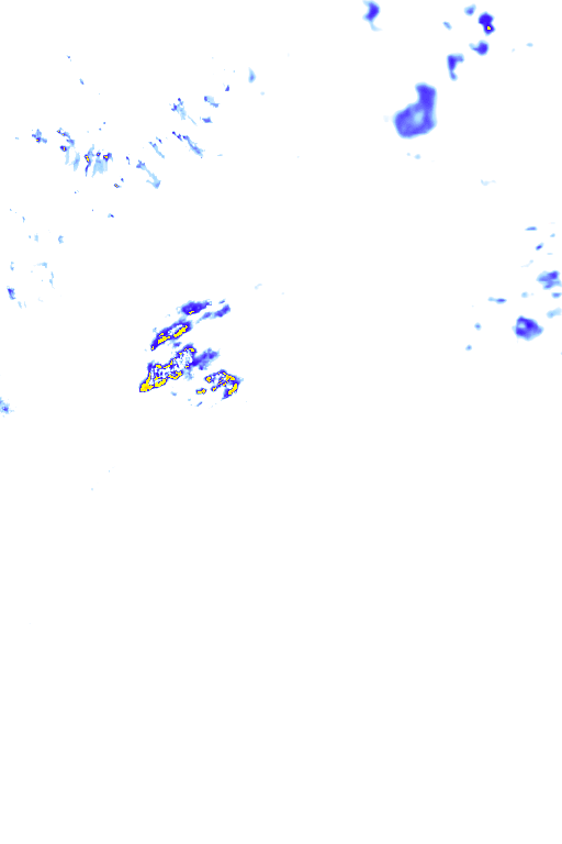 rainLayer