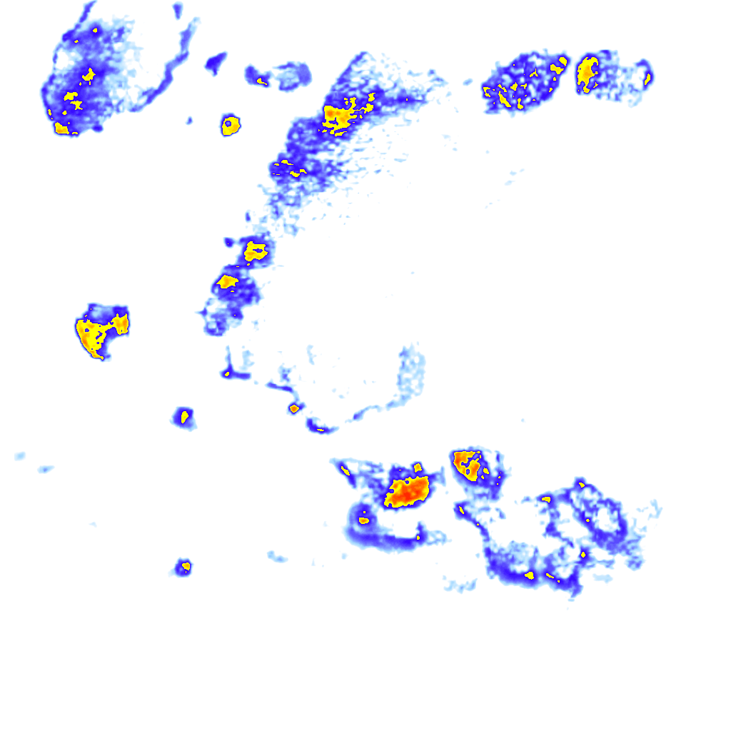 Image Layer