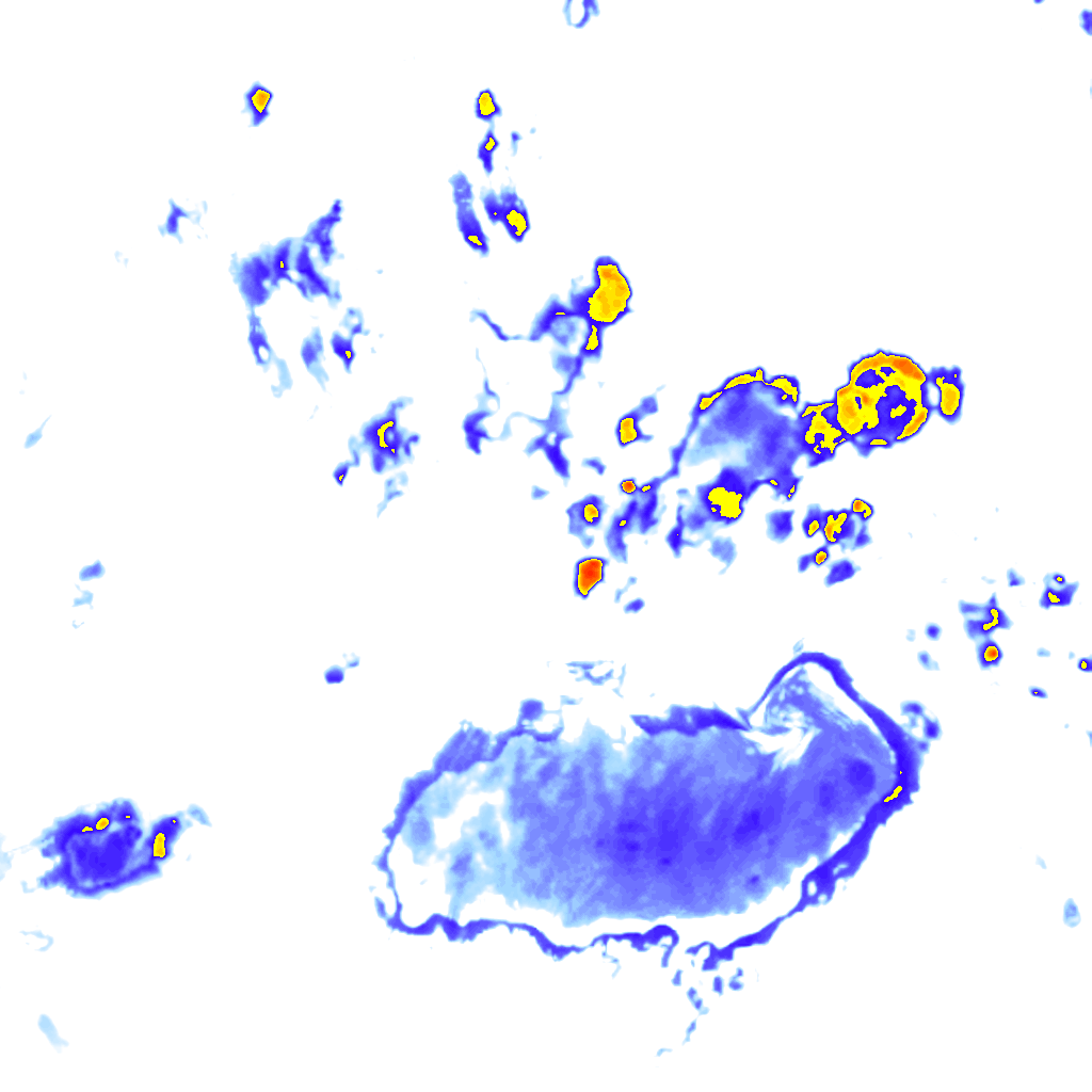 rainLayer